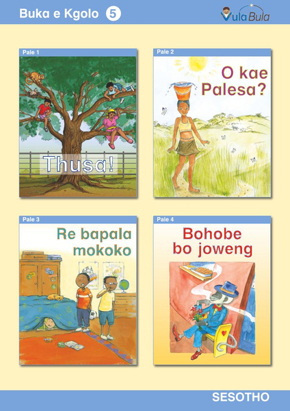 Sesotho Buka e Kgolo 5 (Big Book)