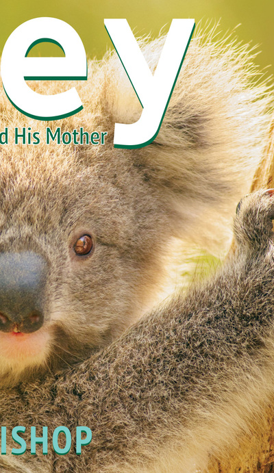 Joey: A Baby Koala and His Mother
