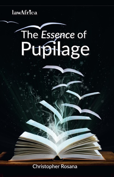The Essence of Pupillage