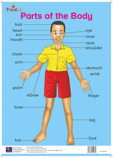 Premier Parts of the Body - Boy Chart