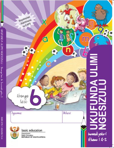 Grade 6 Literacy - Home Language IsiZulu (Book 1)