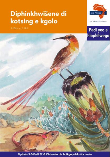 eBook (ePDF): Via Afrika Sepedi HL G05 Reader 22