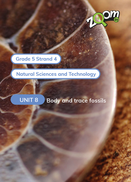 Natural Sciences and Technology Grade 5 Term 4 Unit 8 Body and trace fossils