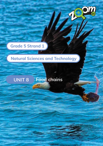 Natural Sciences and Technology Grade 5 Term 1 Unit 8 Food chains: Food and feading
