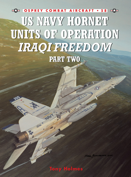 US Navy Hornet Units of Operation Iraqi Freedom (Part Two)