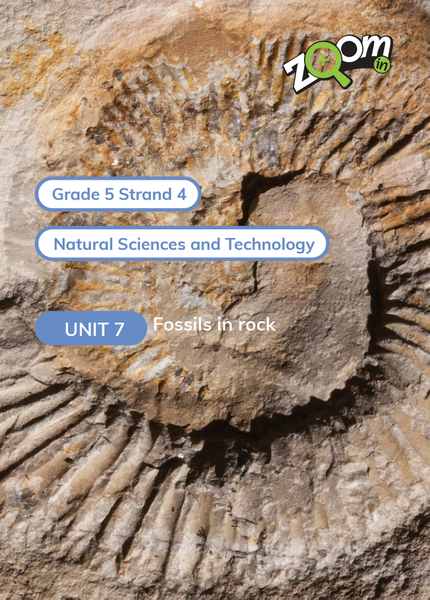 Natural Sciences and Technology Grade 5 Term 4 Unit 7 Fossils in rock