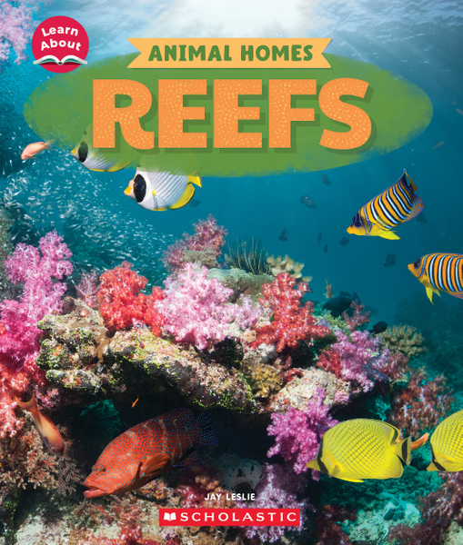 Reefs (Learn About: Animal Homes)