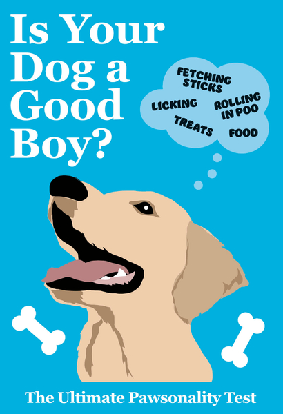 Is Your Dog A Good Boy?