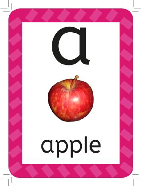 Picture words Flash Cards - Non-tearable