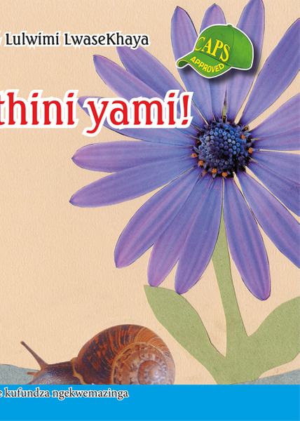 E SISWATI GRADED READER:GR5 BK 4 BUKA IPHETHINI YAMI