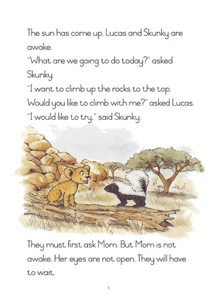 E CUB READING SCHEME (ENGLISH) LEVEL 4 BK 2: A LONG CLIMB