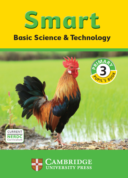 Nigeria: Smart Science & Technology Primary 3 Pupil's Book (One Year Licence)