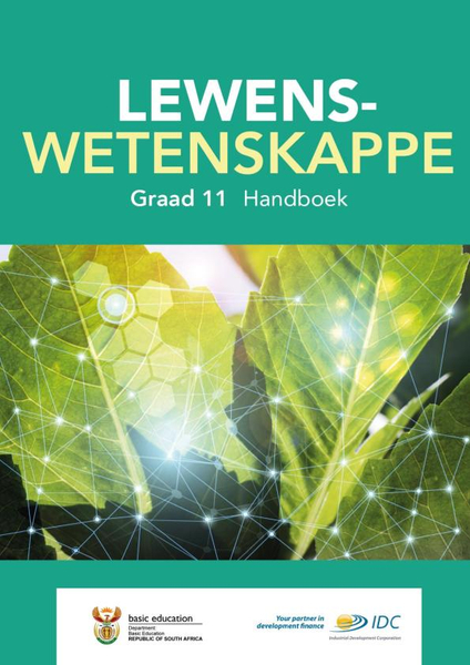 Lewenswetenskappe Grade 11 Handboek