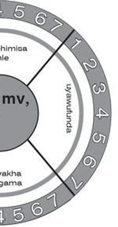 EPUB MASIHAMBISANE KABUSHA (PHONIC PROG) GRADE 2 PROG GUIDE
