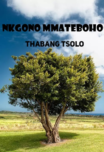 Nkgono  Mmateboho