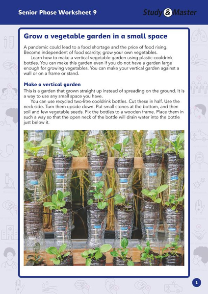 Study and Master Senior Phase Worksheet 9