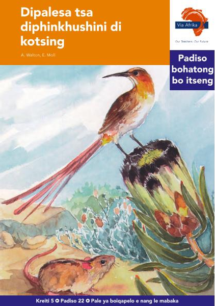 eBook (ePDF): Via Afrika Sesotho HL G05 Reader 22