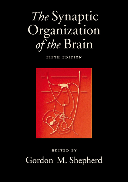The ^ASynaptic Organization of the Brain