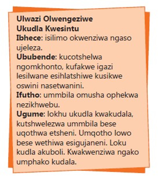 EPUB ISIZULU SETHU GRADE 7 LEARNER'S BOOK