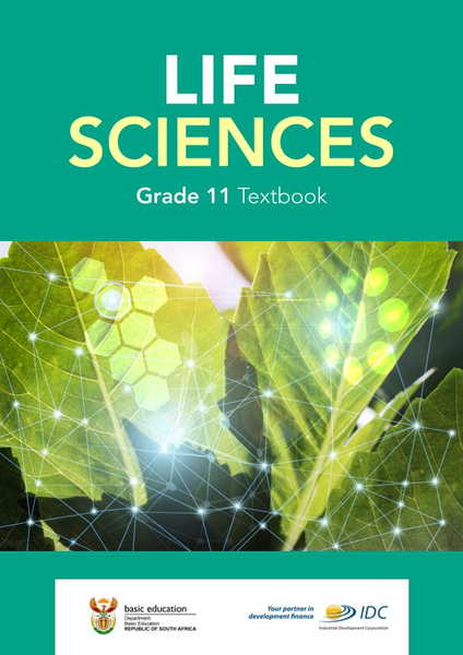 Life Sciences Grade 11 Learner Textbook