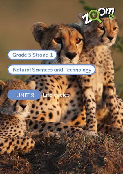 Natural Sciences and Technology Grade 5 Term 1 Unit 9 Life cycles