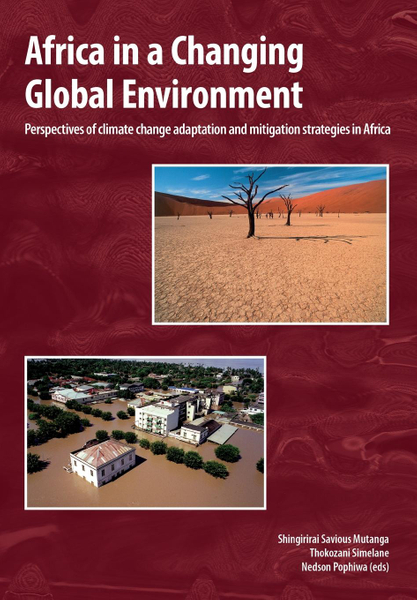 Africa in a changing global environment
