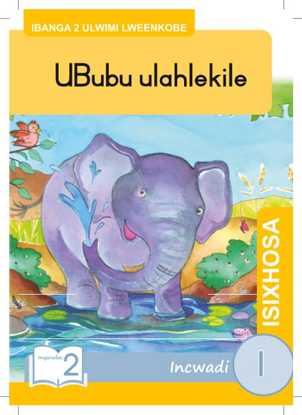UBubu ulahlekile