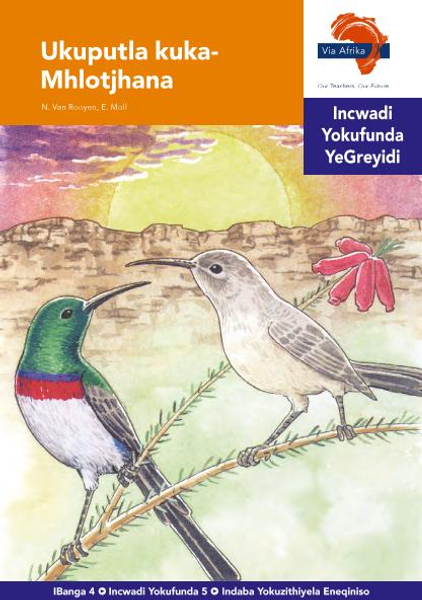 eBook (ePDF): Via Afrika isiNdebele HL G04 Reader 5