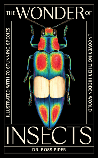 The Wonder of Insects: Uncovering their Hidden World