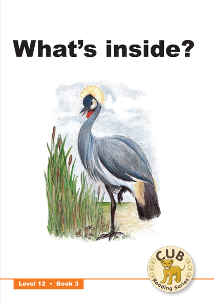 E CUB READING SCHEME (ENGLISH) LEVEL 12 BK 3: WHAT'S INSIDE