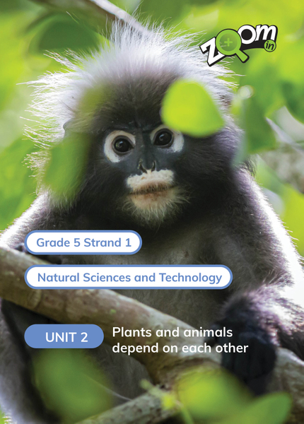 Natural Sciences and Technology Grade 5 Term 1 Unit 2 Plants and animals depend on each other