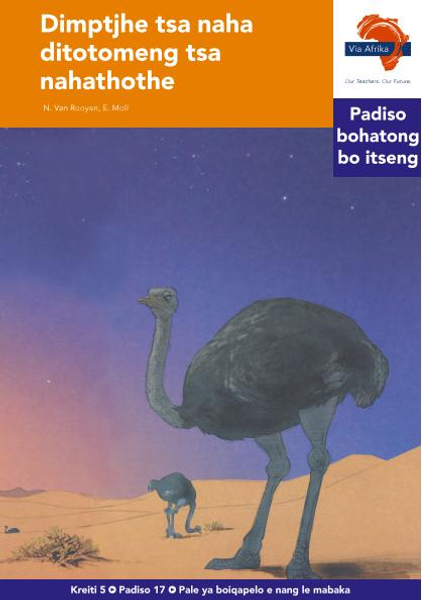 eBook (ePDF): Via Afrika Sesotho HL G05 Reader 17