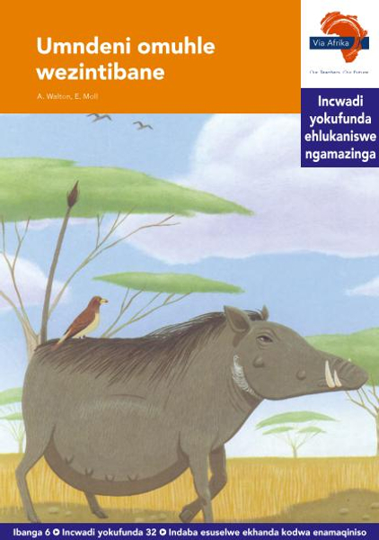 eBook (ePDF): Via Afrika isiZulu HL G06 Reader 32