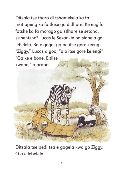 E CUB READING SCHEME (SETSWANA) LEVEL 4 BK 1: GO KGANNA