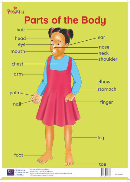Premier Parts of the Body - Girl Chart