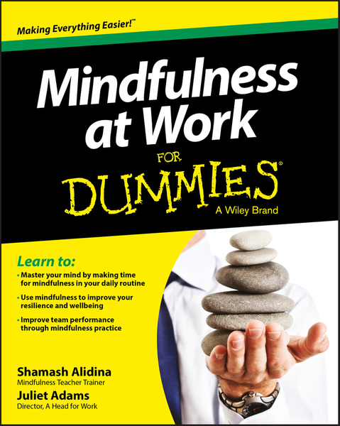 Mindfulness at Work For Dummies