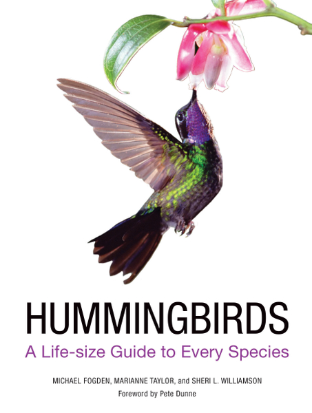 Hummingbirds