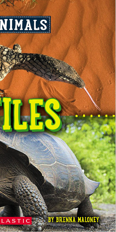 Reptiles (Wild World: Fast and Slow Animals)