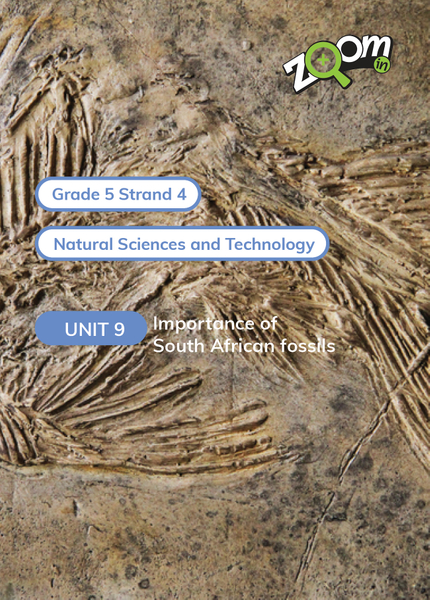 Natural Sciences and Technology Grade 5 Term 4 Unit 9 Importance of South African fossils