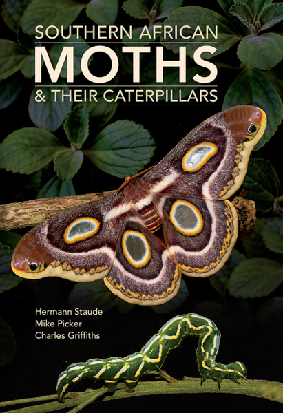 Southern African Moths & their Caterpillars
