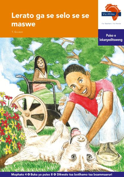 eBook (ePDF): Via Afrika Setswana HL G04 Reader 8