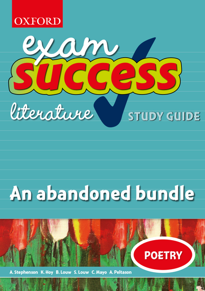 Exam Success Short Story Study Guide and Answers: An abandoned bundle