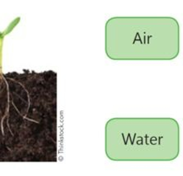EPUB TOP CLASS NATURAL SCIENCES & TECHNOLOGY GRADE 6 LEARNER
