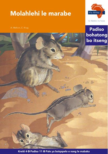 eBook (ePDF): Via Afrika Sesotho HL G04 Reader 11