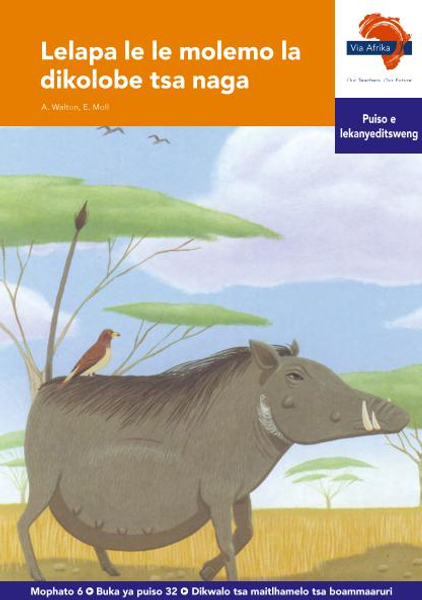 eBook (ePDF): Via Afrika Setswana HL G06 Reader 32
