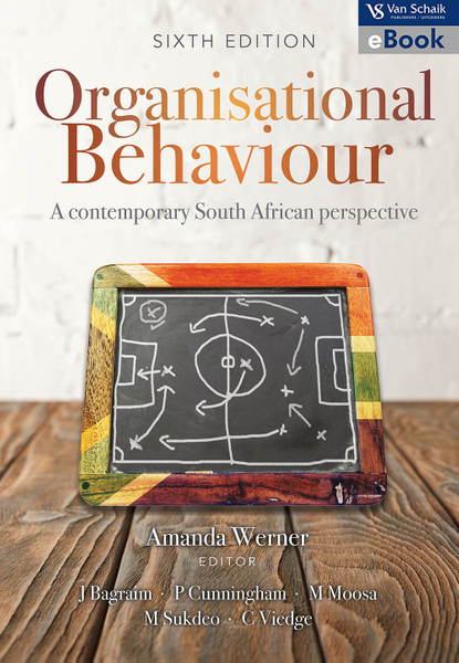 ORGANISATIONAL BEHAVIOUR A CONTEMPORARY SA PERSPECTIVE