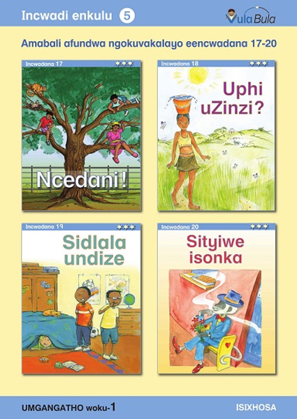 isiXhosa Incwadi Enkulu 5 (Big Book)