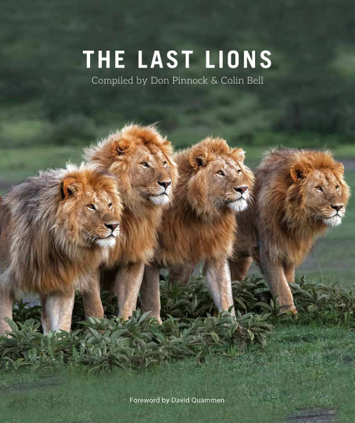 The Last Lions