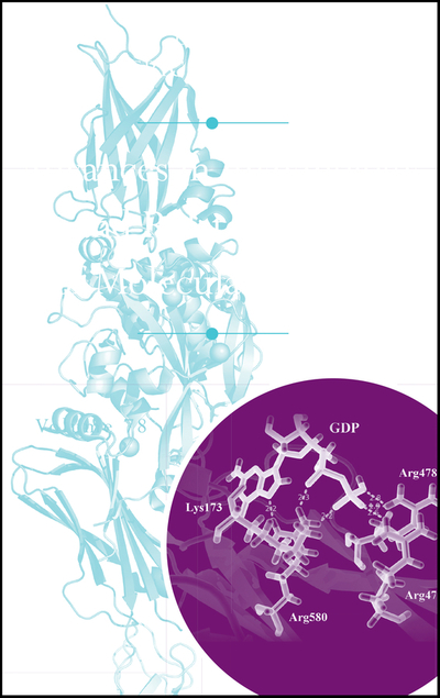 Advances in Enzymology and Related Areas of Molecular Biology, Volume 78