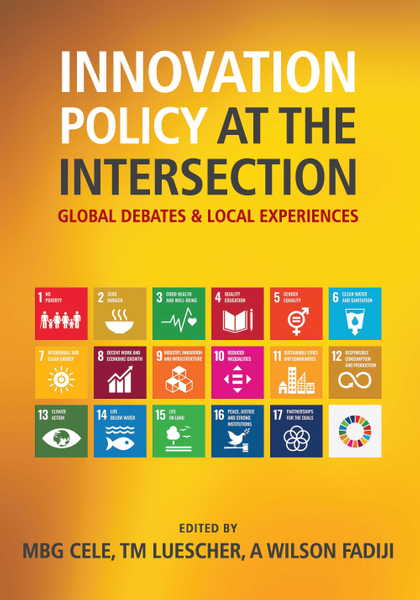 Innovation Policy at the Intersection: Global Debates and Local Experiences